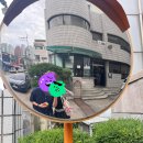 춘천 지하도상가 이미지