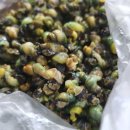 산내산천매운탕