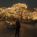 GS25용산하얏트점 이미지