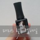 패리스힐튼 젤네일 딥퍼플 사용후기:)