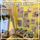 대전 은행동 놀거리 추천 모음글