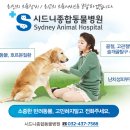 시드니종합동물병원 이미지