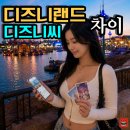 아라비안여행사 | 도쿄 디즈니랜드 디즈니씨 차이 비교 입장권 가격 후기