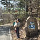 경북 애견동반 계곡 캠핑 추천 문경 그린스톤캠핑장