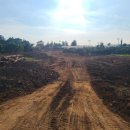 강정동-29 이미지