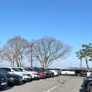 파주통일경기-파주-통일10 | 파주 벚꽃 명소 통일전망대, 임진강 뷰 카페 투썸까지 한 번에 즐기는 데이트 코스