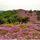 골바위농장 이미지