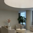 제안과의원 | 강남구청역 피부과의원 요즘 핫한 세르프 300 비포애프터 후기