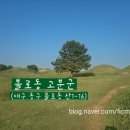 행신동 (햇빛마을 21단지앞 도로) | 대구 갈만한곳 불로동 고분군 한시간 반 산책 후기