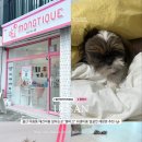 몽띠끄 이미지