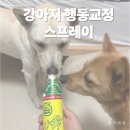 강아지 문제행동 스프레이 비터애플 솔직 후기