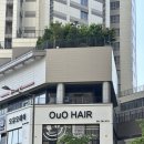미사역 미용실| OUO오유오 헤어 : 재경디자이너 클리닉 후기