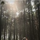 미묘 | [미묘스냅] 제주 웨딩 스냅 예약 후기 👰‍♀️🤵‍♂️
