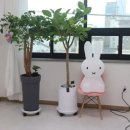 호산건축사사무소 네이버블로그