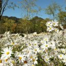 출렁다리민박 이미지