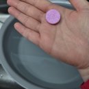 조요소 | 화초영양제 추천! 닥터조블루밍버블뉴트리버블 솔직 후기, 간편한 발포형식물영양제