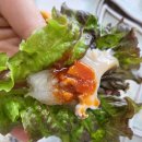 거진활어회센터 | 고성 횟집 팔광호횟집 거진항회센터 현지인 맛집 추천