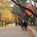 아침인사 ㅡ겨울이 찿아오네요 이미지