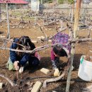 사강3리 경로당 | 지역주민만나기 화성시서부종합사회복지관_[송산] “THE놀다” (3월 3주)