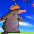 어린이 뮤지컬-누가 내 머리에 똥 쌌어? 이미지