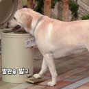 호야농장 이미지