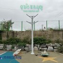 온양초등학교 티스토리