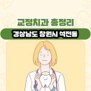 미소율치과의원 | 경상남도 창원시 석전동 교정치과 총정리
