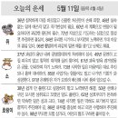 📛오늘의운세5월11일(토요일) 이미지