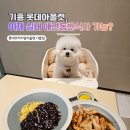 어썸펫 | 기흥 롯데아울렛 펫그라운드! 비와도 추워도 가능한 실내 애견동반 푸드코트 총정리