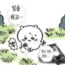 직장인 일기 | 16년 직장 생활 최대의 위기, 부수입 점검이 필요하다 | 26년 1분기 정산