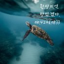 비싼 물가 잡는 우리먹거리 완도산 염장해조류,건다시마 드세요🙏 이미지