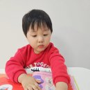 유아를 위한 그림책 방 | 자연관찰도서 맥밀런 개미세상 플랩북 유아 관찰력키우기 그림책