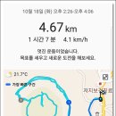 저지오름 이미지