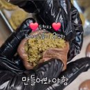 스프레드17 | 두쫀쿠 만드는 재료 피스타치오 스프레드 피스티 + 나눔 후기까지!