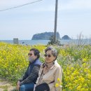 나무와피자 이미지