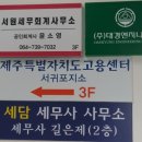 세담세무사사무소
