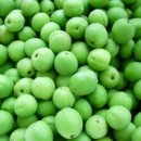 오르다유치원 이미지