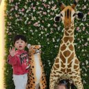 떼굴떼굴 이미지