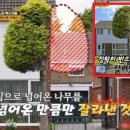 주식회사 꿈꾸는사람들