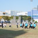 용인대 한국 이미지