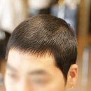 상남동267 이미지