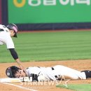 낙지가와 이미지