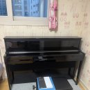 군산악기사
