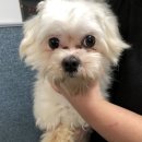 정왕지구대 이미지