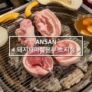 한남메디칼상가 | 안산 초지동 고기집 돼지새마을본부 초지점 C세트