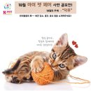 케이모찌 이미지