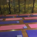 다인요가원 이미지