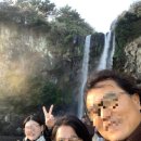 서귀포365일의원 이미지