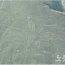 개인화물2005