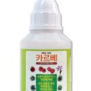 미르팜